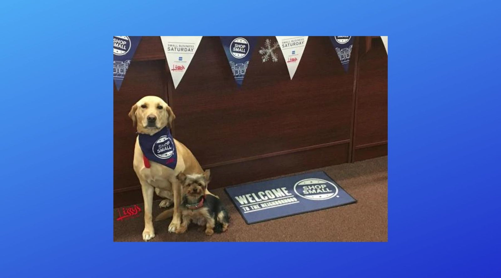 Small Business Saturday